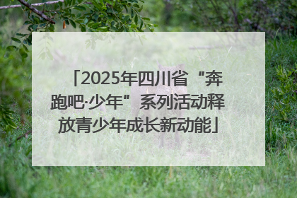 2025年四川省“奔跑吧·少年”系列活动释放青少年成长新动能