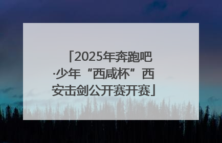 2025年奔跑吧·少年“西咸杯”西安击剑公开赛开赛