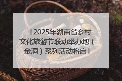 2025年湖南省乡村文化旅游节联动举办地（金洞）系列活动将启