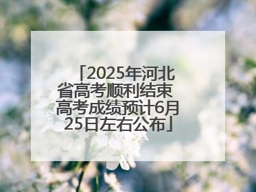 2025年河北省高考顺利结束 高考成绩预计6月25日左右公布