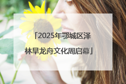 2025年鄂城区泽林旱龙舟文化周启幕