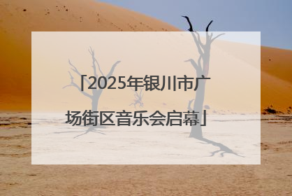 2025年银川市广场街区音乐会启幕