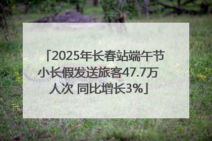 2025年长春站端午节小长假发送旅客47.7万人次 同比增长3%