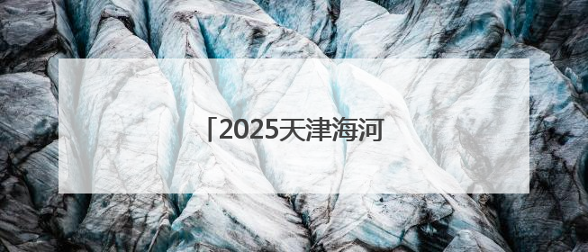 2025天津海河国际龙舟赛举行
