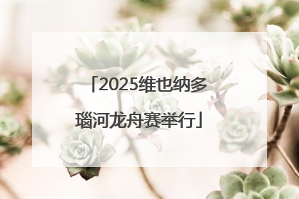 2025维也纳多瑙河龙舟赛举行