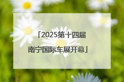 2025第十四届南宁国际车展开幕