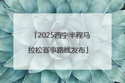2025西宁半程马拉松赛事路线发布