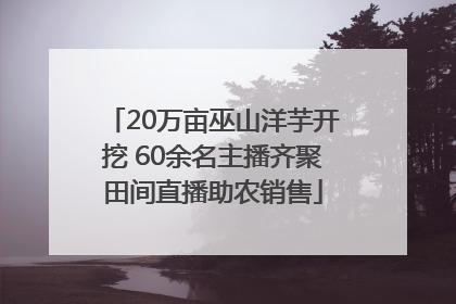 20万亩巫山洋芋开挖 60余名主播齐聚田间直播助农销售