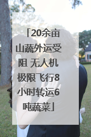 20余亩山蔬外运受阻 无人机极限飞行8小时转运6吨蔬菜