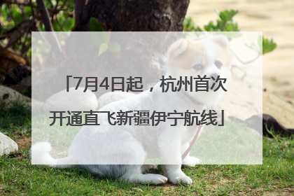 7月4日起，杭州首次开通直飞新疆伊宁航线