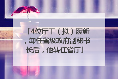 4位厅干（拟）履新，卸任省级政府副秘书长后，他转任省厅