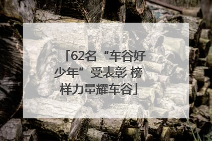 62名“车谷好少年”受表彰 榜样力量耀车谷