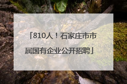 810人！石家庄市市属国有企业公开招聘
