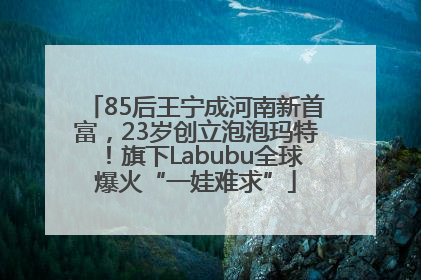 85后王宁成河南新首富，23岁创立泡泡玛特！旗下Labubu全球爆火“一娃难求”