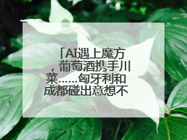 AI遇上魔方，葡萄酒携手川菜……匈牙利和成都碰出意想不到的合作机会